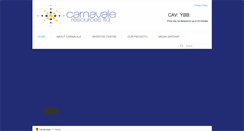 Desktop Screenshot of carnavaleresources.com